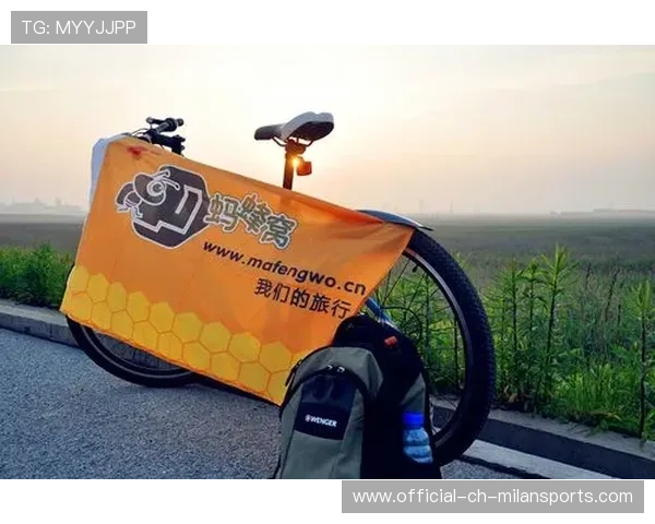 海湾者年轻球员潜力无限，未来可期，海湾什么