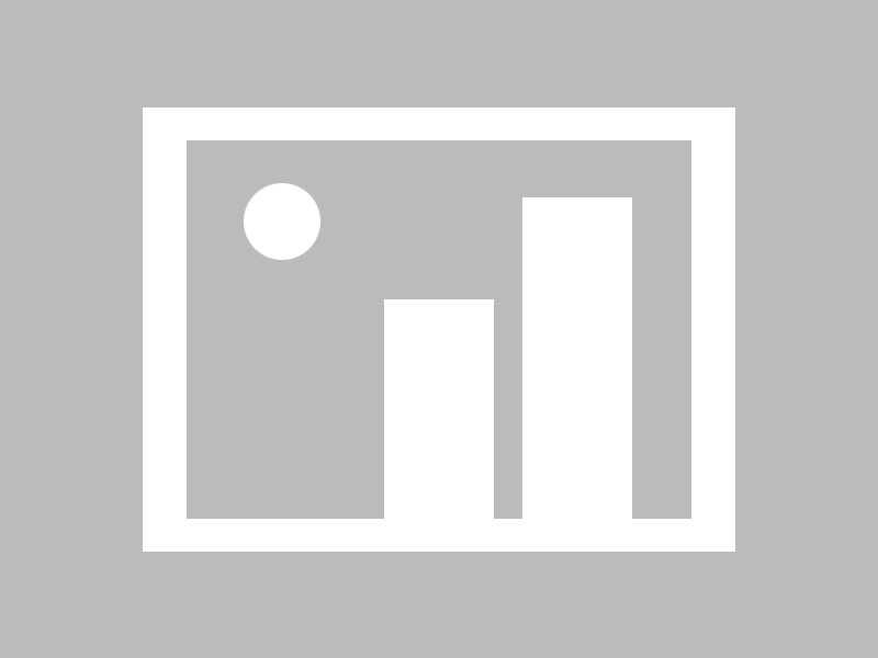 米兰官网-西甲裁判语言模型在多语言比赛中的应用研究，意甲裁判服